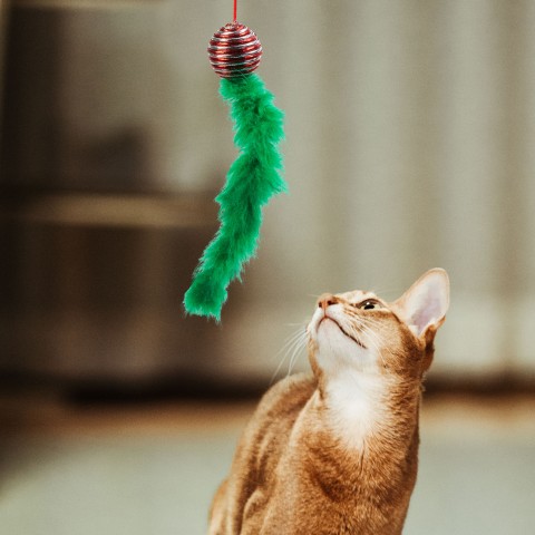 Vianočná hračka pre mačky - 2 druhy