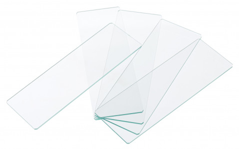 Discovery 50 Blank Slides