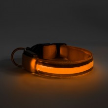 LED obojok - veľkosť L - oranžová