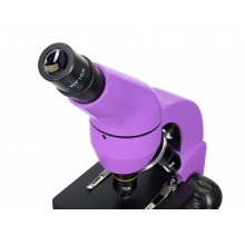 (EN) Levenhuk Rainbow 50L Lime Microscope (Amethyst, EN)