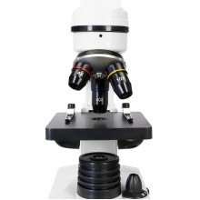 (CZ) Digitální mikroskop Levenhuk Rainbow D2L 0.3M, Moonstone (Moonstone, EN)