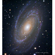 Meade LX850 14&quot; F/8 ACF Telescope